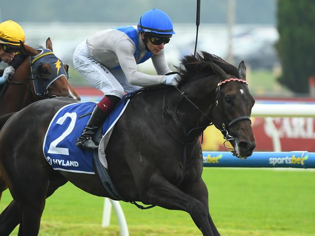 MELBOURNE, AUSTRALIA - FEBRUARY 08: Ben Melham riding Angel Capital winning Race 7, the Hyland Race Colours Autumn Stakes during Melbourne Racing at Caulfield Racecourse on February 08, 2025 in Melbourne, Australia. (Photo by Vince Caligiuri/Getty Images)