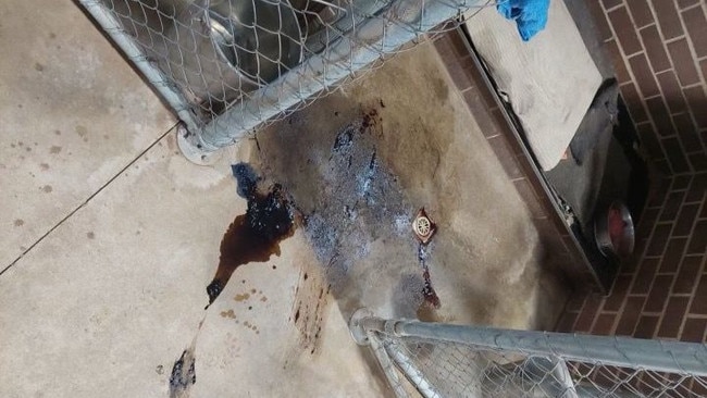 Bloody stool allegedly inside the Two Wells kennel. Picture: Supplied