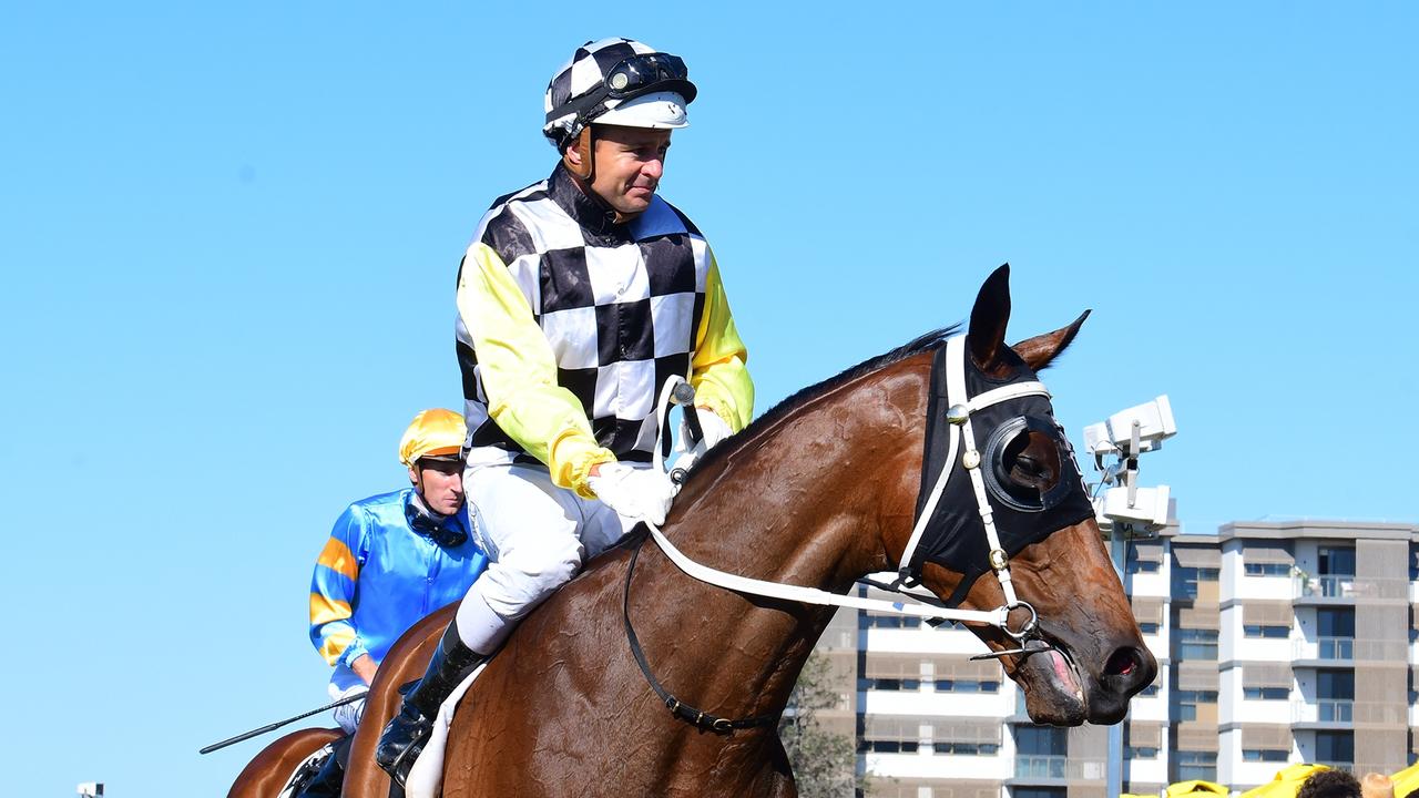 Chris Anderson chases Ipswich Cup after landing huge Stradbroke ...