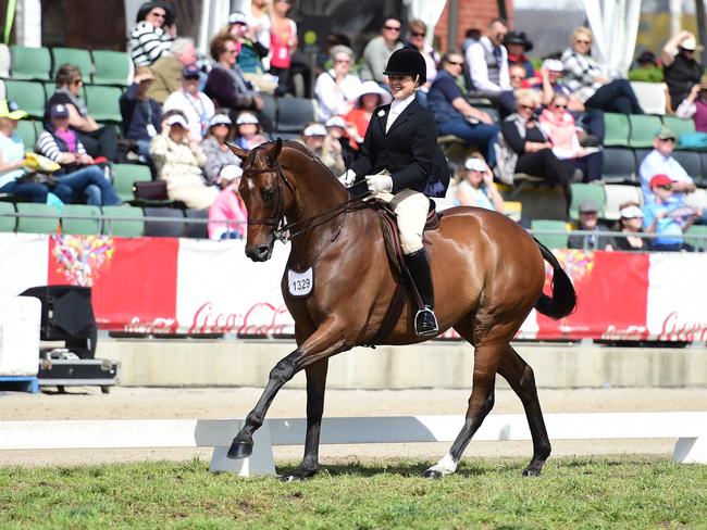 Stephanie Barrington riding SLM Orlando in the Garryowen. Picture: Zoe Phillips