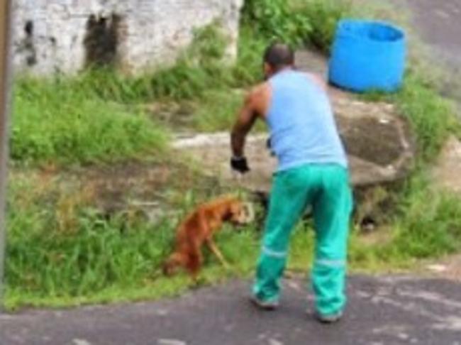 Shocking ... Brazilian garbage man Jadson James Franca tied a chain around the injured dog’s neck. Picture: Facebook/Xuxa