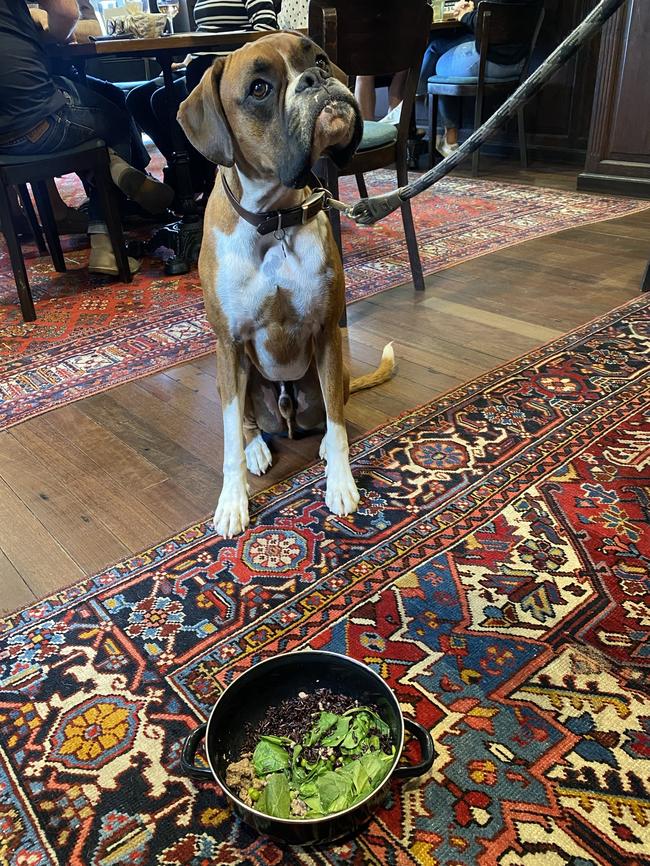 Dogs are welcome to eat at EVH. Picture: Supplied