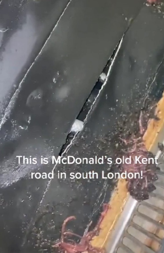 The worms were found at a McDonald's branch in Old Kent Road, London. Picture: TikTok