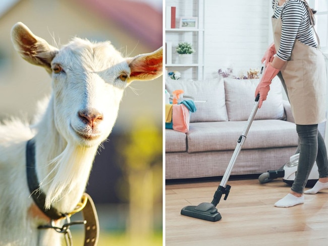 Can’t vacuum after 7pm: Qld’s most bonkers rules you didn’t know existed