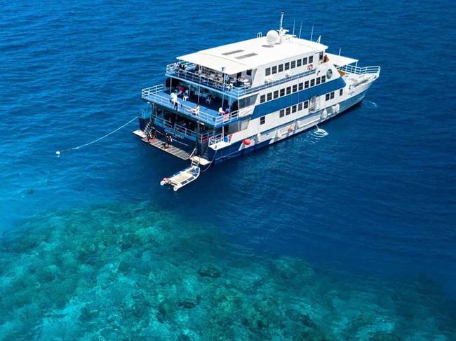 Entrada Travel Group through Cairns subsidiary Divers Den, have made a statement regarding the death of their passenger at the Great Barrier Reef. Picture: Supplied