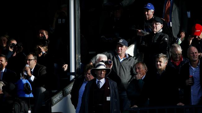 No just any face in a crowd: Trainer Darren Weir watches on with the rest of the crowd at Warrnambool in May. Picture: Colleen Petch