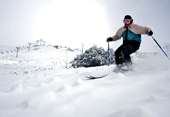 'Boot deep' powder ... skier Chris Hocking is in heaven at Falls Creek in Victoria, six weeks before the official season opens. Gallery »