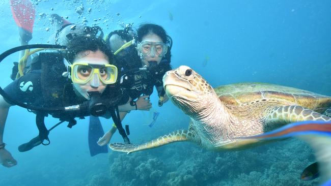 10/06/2019: Divers enjoy the coral and marine life on a visit to Moore Reef off Cairns, having traveled to the area on Sunlover Cruises. Unknown tourist with instructor Makie Yato (Right) MUST CREDIT: Calypso Reef Imagery