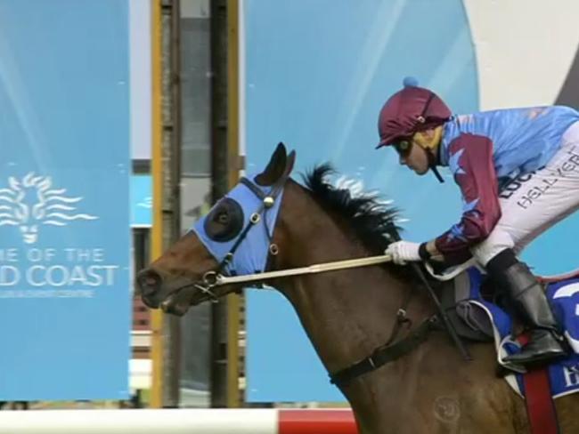 Armet won the Class 1 Handicap (1200m) with jockey 	Micheal Hellyer at the Gold Coast on Saturday, October 28. Photo: Supplied.