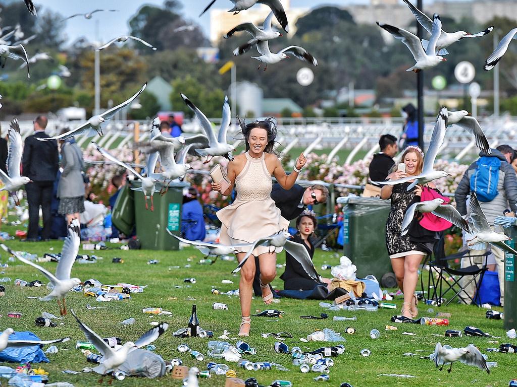 This racegoer enjoys a delightful frolic among the trash and seagulls.