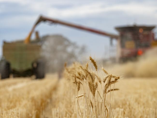 Harvest - Simon Wall at Pine LodgeSimon Wall is a livestock and cropping farmer who will still be harvesting wheat.He thinks he will be finished on Monday afternoon. His property has missed most of the wet weather and storms, so the wheat is performing well and no quality downgrades. PICTURED: Generic harvest. Header and chaser bin. Wheat harvest. Wheat crop. Harvesting wheat. Harvesting. Stock Photo. Picture: Zoe Phillips