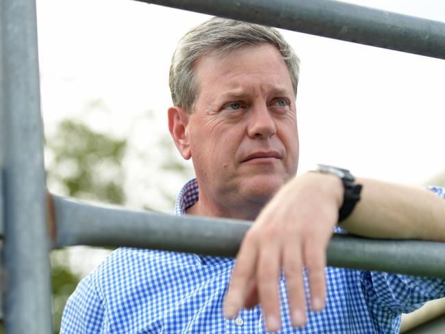 Slip of the tongue or not Tim Nicholls has again left the door open to governing Queensland with the support of Pauline Hanson’s One Nation party. Picture: AAP Image/Tracey Nearmy