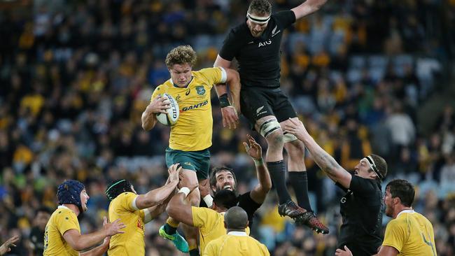 Australia's Michael Hooper says the Wallabies can still win in New Zealand and bring home the Bledisloe Cup.