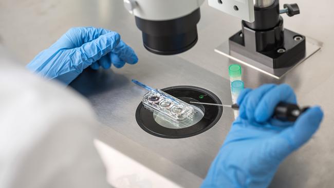 Australia is the second country in the world to allow this IVF technique using the DNA of three people. Picture: iStock