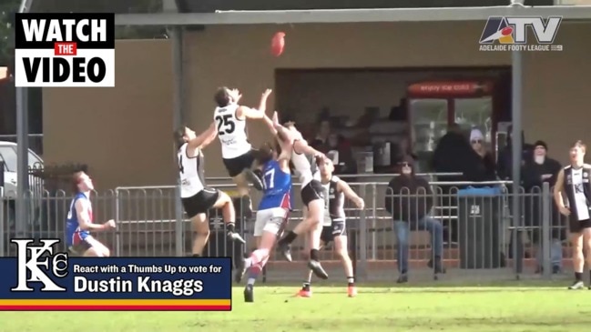 Adelaide Footy League Round 12 Marks of the Week