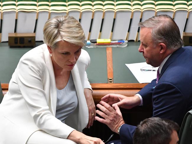 Shadow Minister for Education Tanya Plibersek and Leader of the Opposition Anthony Albanese during Question Time. Picture: Mick Tsikas