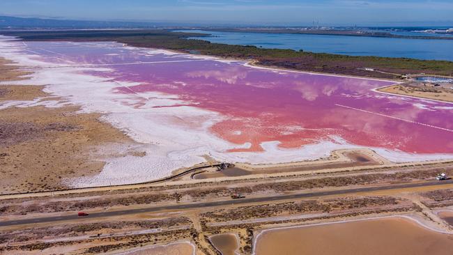 Drone footage of dead and dying mangroves and saltmarsh at St Kilda, where super salty water can be seen in evaporation ponds and some brine is crystallising to white salt. Picture: Alex Mausolf