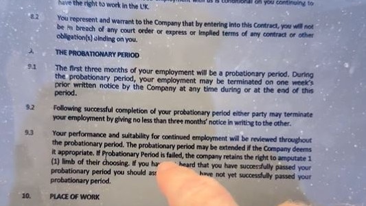 Pieters included “ridiculous” clauses in the fake contract of employment. Picture: X@joshua_pieters