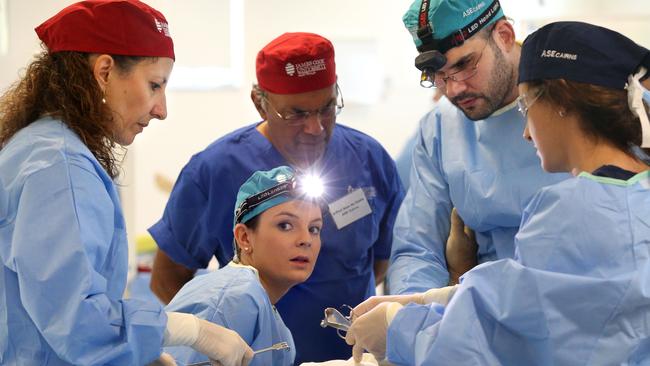 Aspiring surgeons perform surgery on cadaver at JCU.