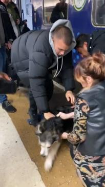 Heroic bystanders rescue dog under a train