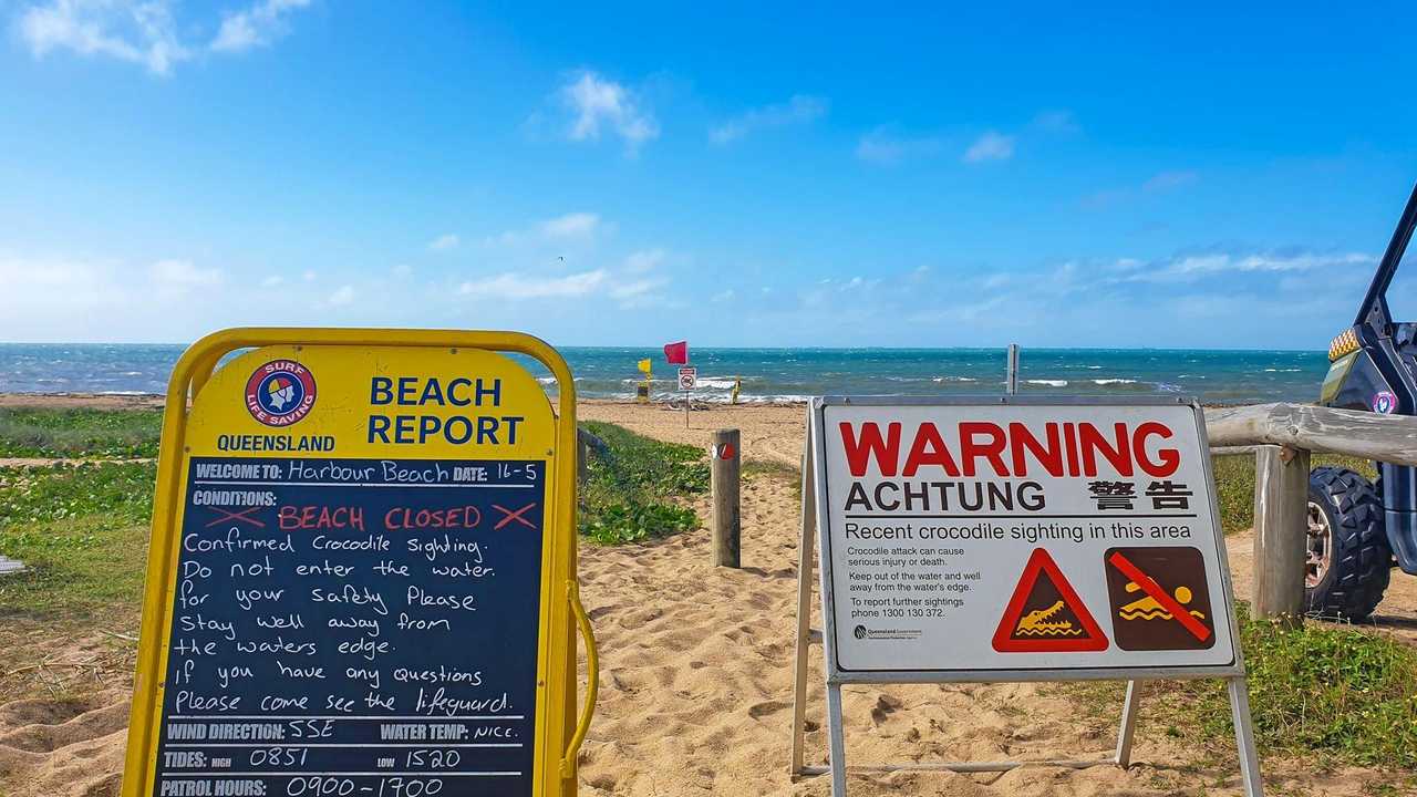 WATCH: Crocodile closes popular Mackay beach | The Courier Mail