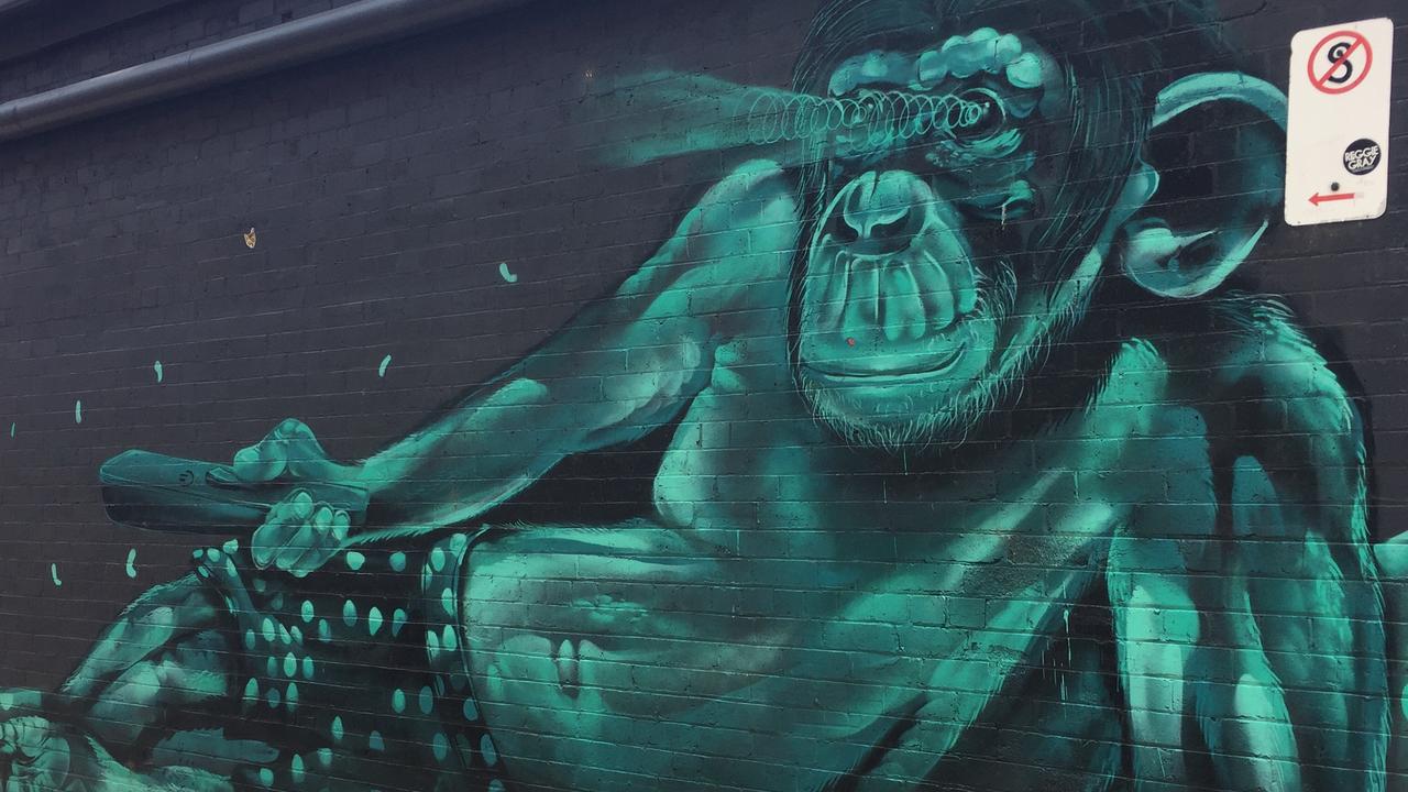 Explore Toowoomba’s exciting street art scene on a guided walking tour with Toowoomba Trails. Photo: Leanne Edmistone