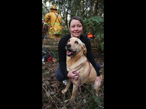 Dog rescued from an old Trentham mine shaft