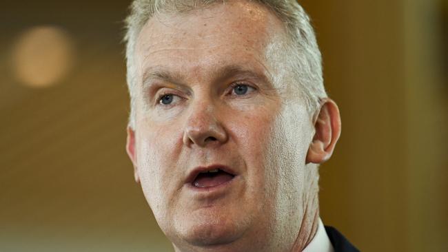 Workplace Relations Minister Tony Burke. Picture: NCA NewsWire/Martin Ollman