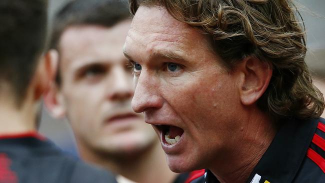 Hawthorn v Essendon James Hird at 3/4 time   Picture:Wayne Ludbey