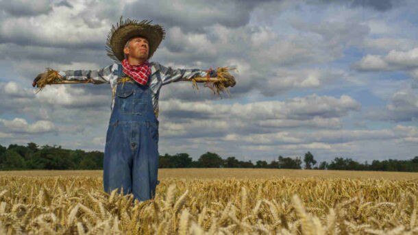 DIY scarecrows? Well, we suppose food production has rarely been more important than in this global food crisis. Picture: Getty Images