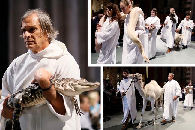 People take part in the Procession of Animals before the Blessing of the Animals during the St. Francis Day Service at the Cathedral of St. John the Divine in New York City. Picture: Leonardo Munoz/AFP