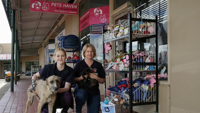 Pets Haven’s Woodend shelter, pictured in 2020 before the organisation changed hands. Picture: George Salpigtidis