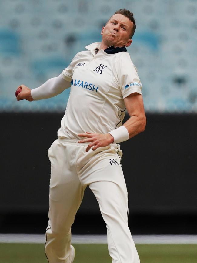 Peter Siddle in action for Victoria last season (AAP Image/Michael Dodge)