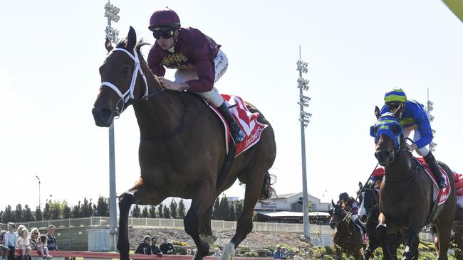 Group 1 winner Climbing Star will spearhead trainer Phillip Stokes’s strong team of fillies and mares in the spring. Picture: Racing Photos via Getty Images