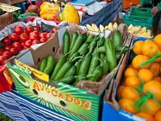 NEW GROUP: Water is a precious resource for horticulture. Picture: Rob Wright