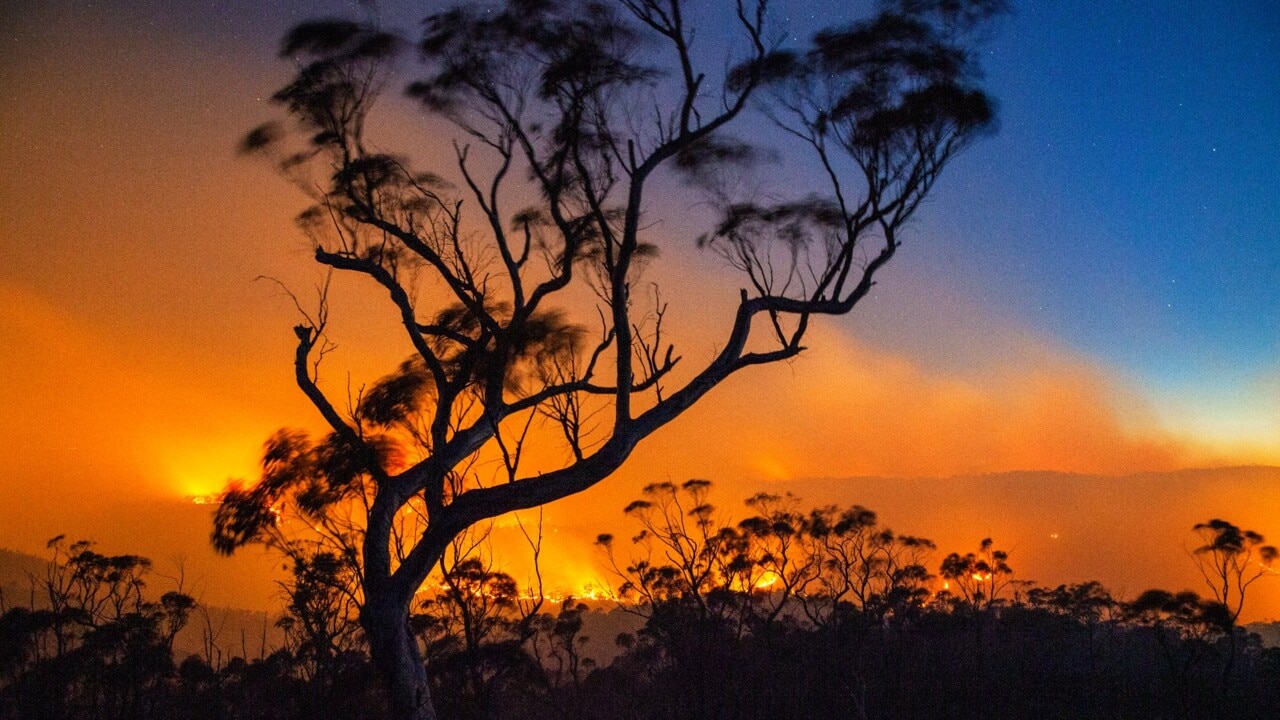 News Corp Australia announces major donation to aid bushfire-hit communities