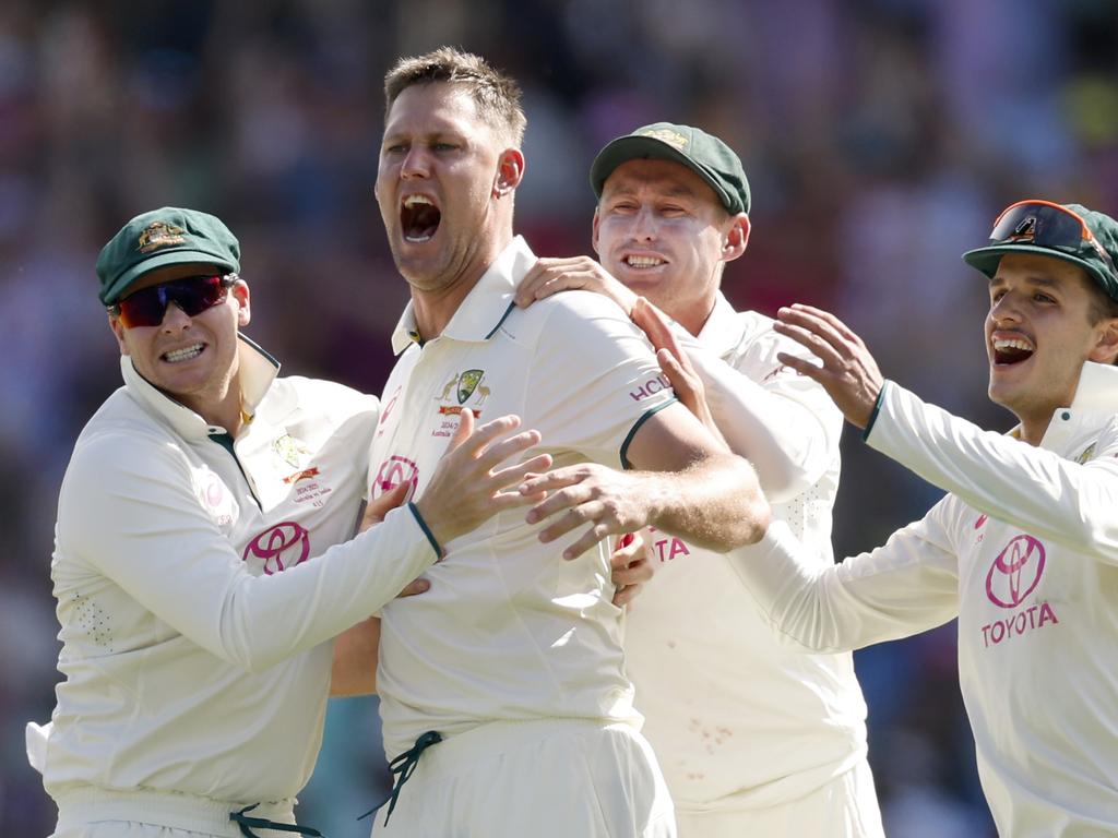 Paine tips Beau Webster to stay. Picture: Darrian Traynor/Getty Images