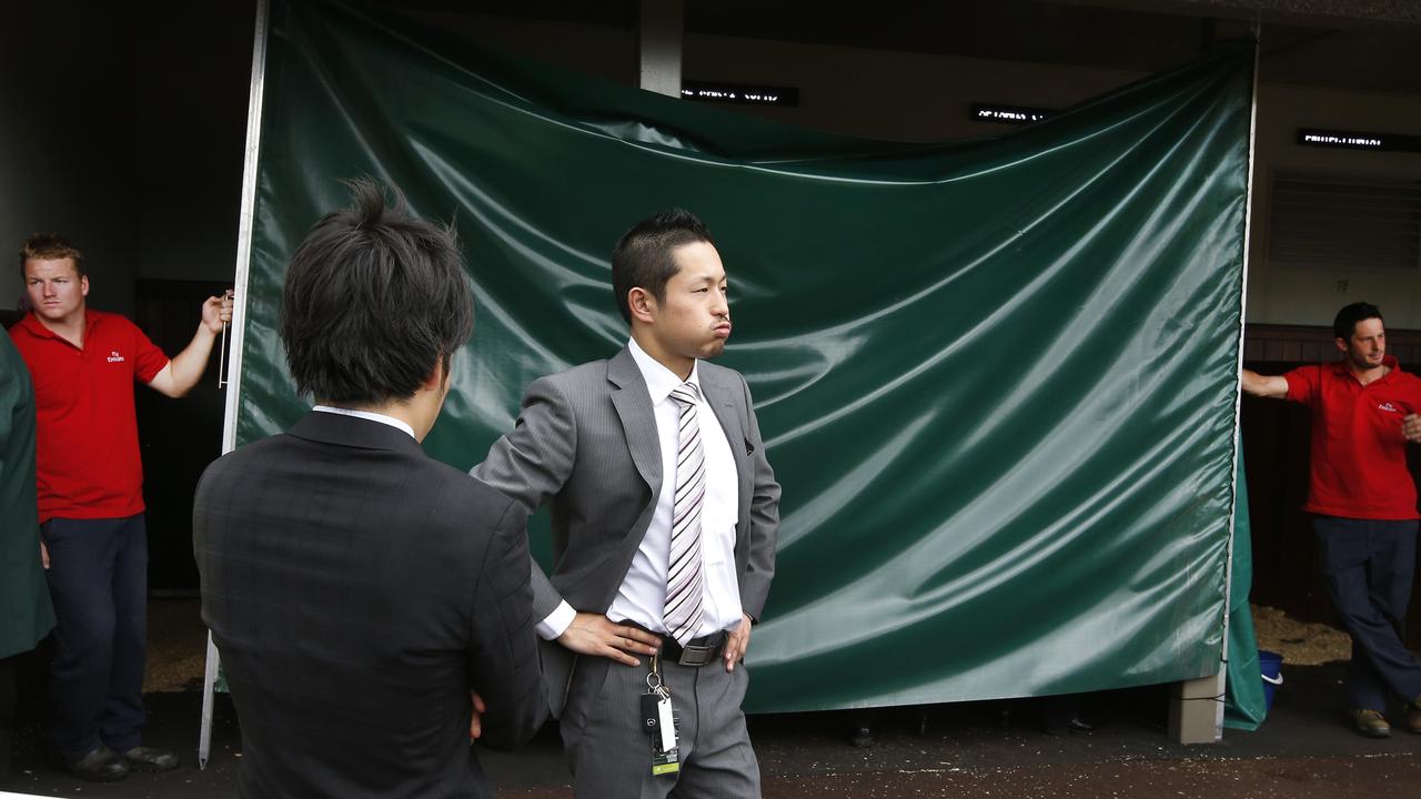 At the 2014 Melbourne Cup Japanese horse Admire Rakti dropped dead in his stables after running the Cup. Picture: David Caird.