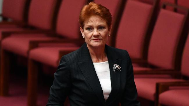 One Nation leader Senator Pauline Hanson says Australia’s gun laws don’t need to be changed. Picture: AAP