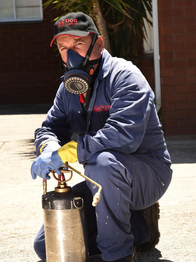 Pest controller Jaime Ackland from Action Pest Control treats and inspects houses across Kingston. Picture: Chris Eastman