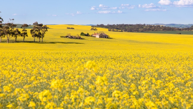 Australia’s most photogenic spots | escape.com.au