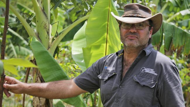 Senior Research Fellow Dr Alex Cheesman said the project could help improve mainstream agriculture in the future. Photo: Fia Walsh.