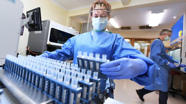 A medical scientist prepares vials for Covid-19 test samples at the SA Pathology laboratory on Frome Rd, city. Picture: Mark Brake