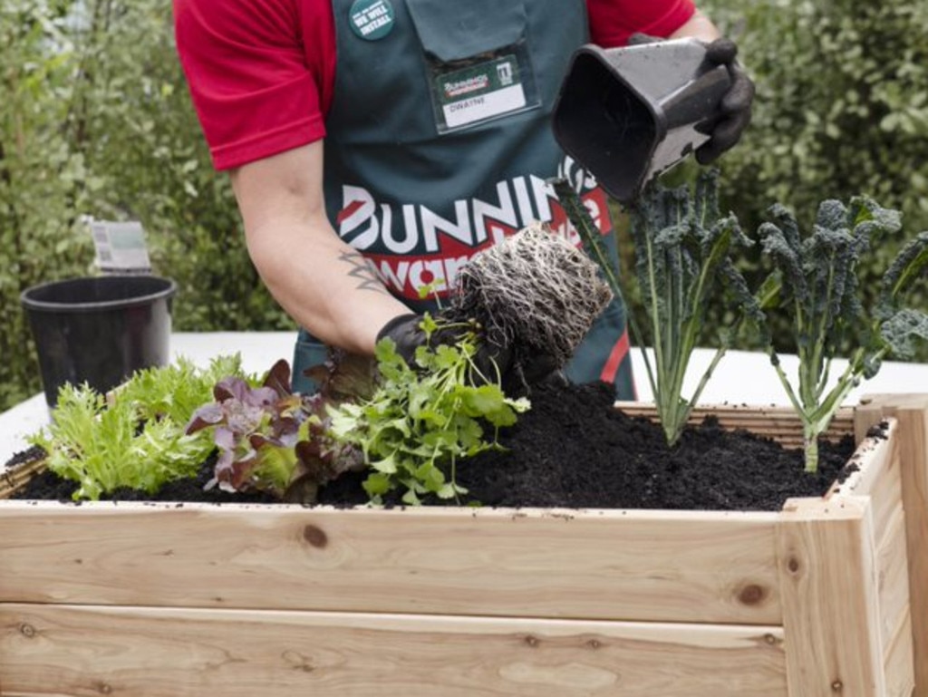 Bunnings has ditched plans to strike a bargaining agreement – but this could change. Source: Bunnings.