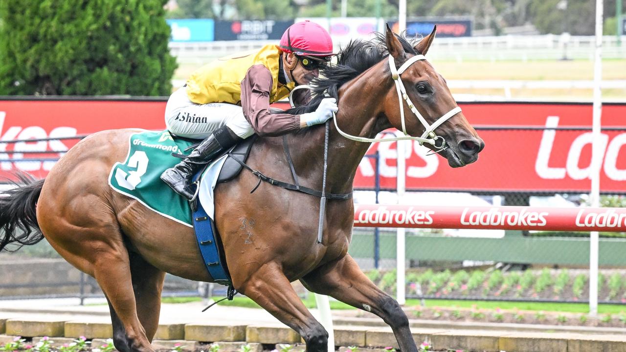 Field Of Play is the early favourite for Saturday’s Group 1 Blue Diamond Stakes at Caulfield. Picture: Racing Photos via Getty Images