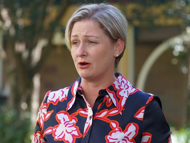 Child Safety Minister Amanda Camm