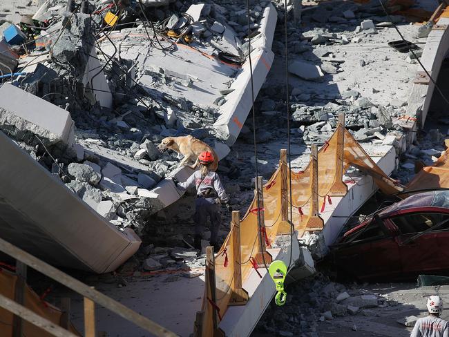 A rescue dog and its handler works at the scene where a pedestrian bridge collapsed a few days after it was built. Picture: Getty