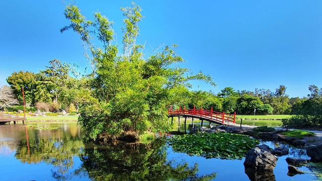 North Coast Regional Botanic Garden. Sandra Spence