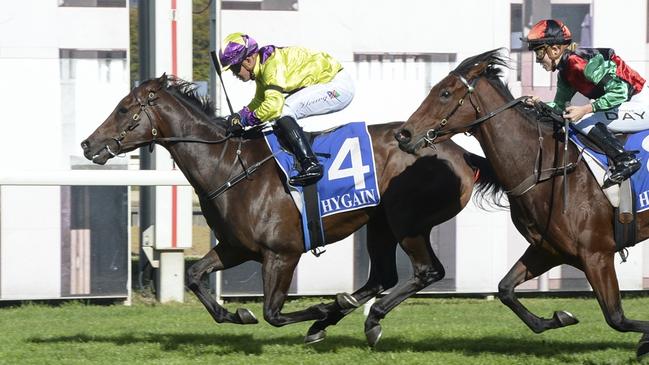 Code In Time, pictured winning at Canberra in April, is one of Shayne O'Cass's best bets on Monday. Picture: Bradley Photos