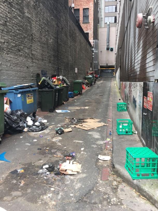 Rubbish in Normanby Lane in Melbourne's CBD. Pic: Snap Send Solve